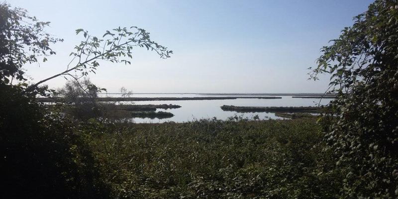 Area di progetto - Vista della laguna dall’argine del Sile