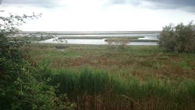 Area di intervento. Vista della laguna dal Sile