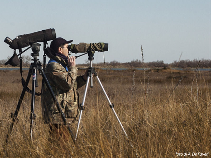 Monitoraggio dell’avifauna